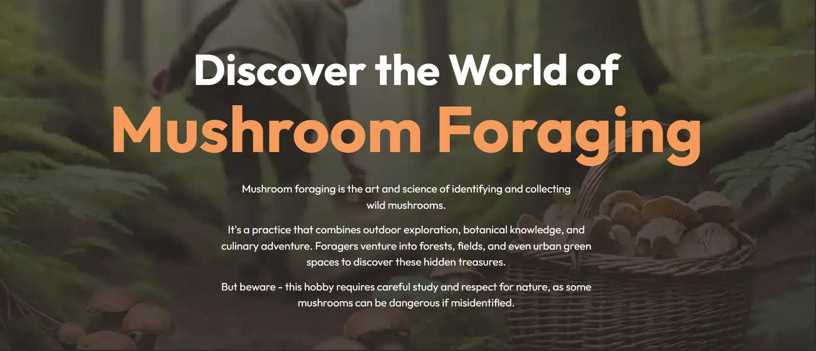 A screenshot of a website called 'Mushroom Foraging', created by Algarve Webcraft