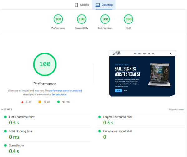 A screenshot of a performance chart for a website showing 100% score across all website metrics (Performance, Accessiblity, Best Practices and SEO).